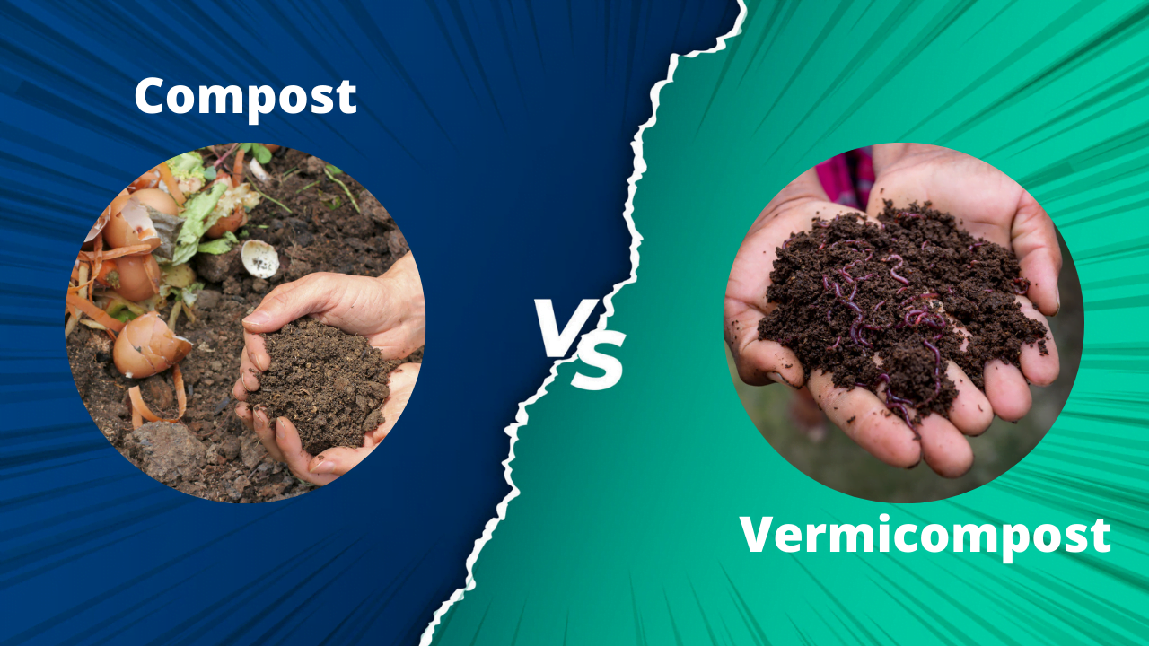 Step-by-Step: How to Start Composting and Vermicomposting
