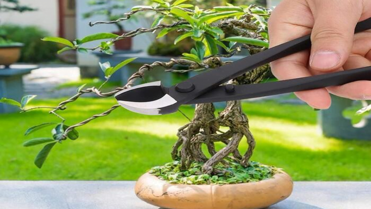Ryuga Bonsai Tools 170mm Stainless Steel Branch Cutter (Small Size) Austral