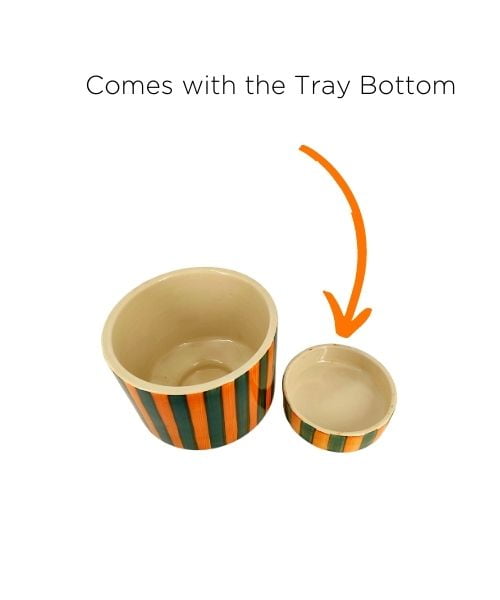 Zebra Classic Ceramic Pot with Tray | Black & White Patterned Planter