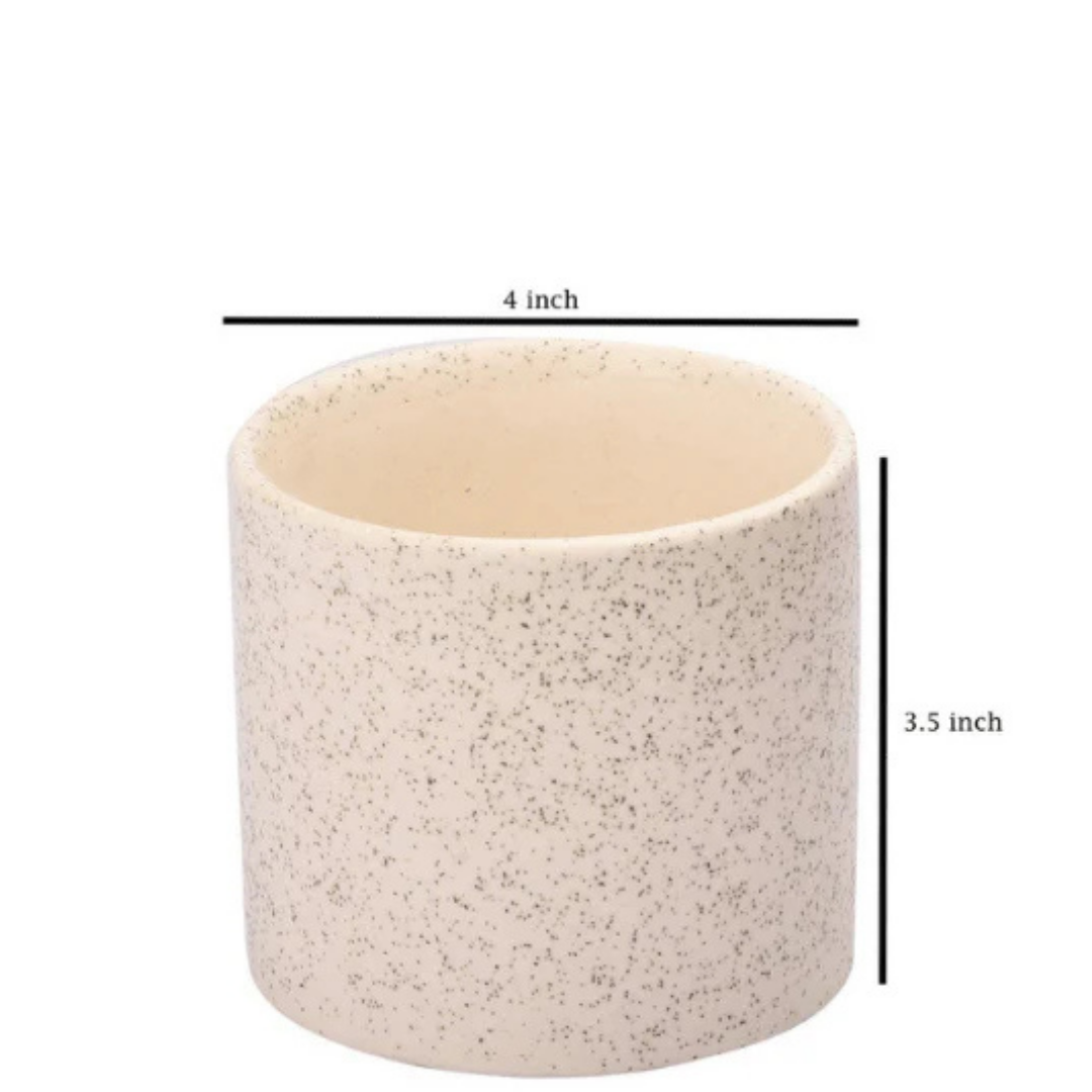 Jade Bonsai in Ceramic Pot