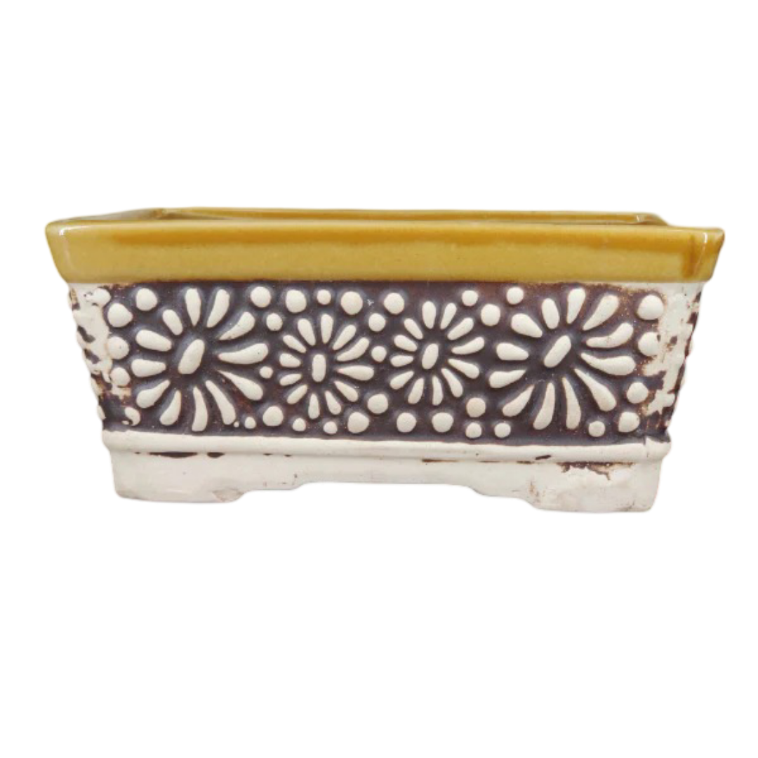 Carmona Flowering Bonsai Plant In Brown Bonsai Pot 3 Years 20 cm