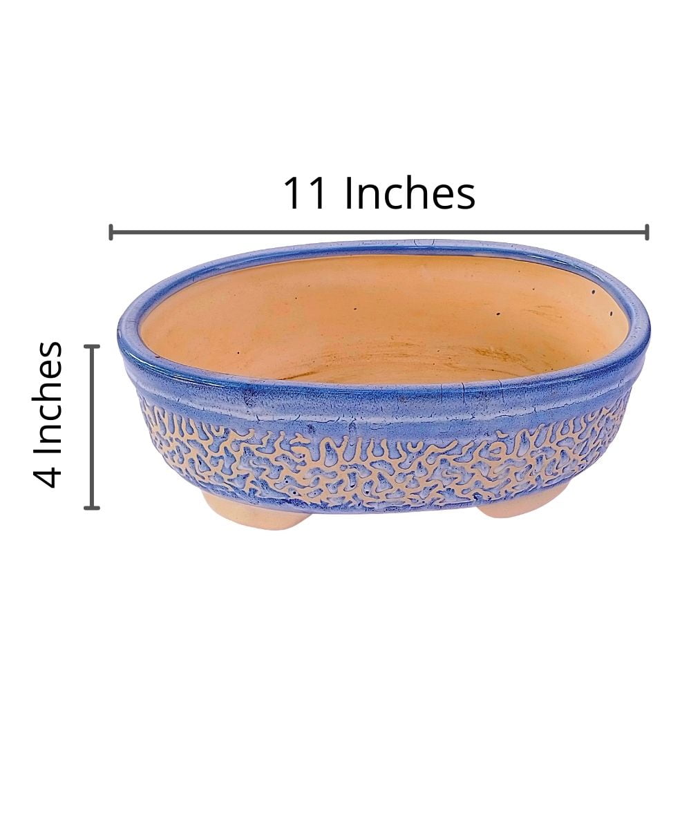 Large Blue Carved Oval Bonsai Pot | 27 cm Ceramic Planter