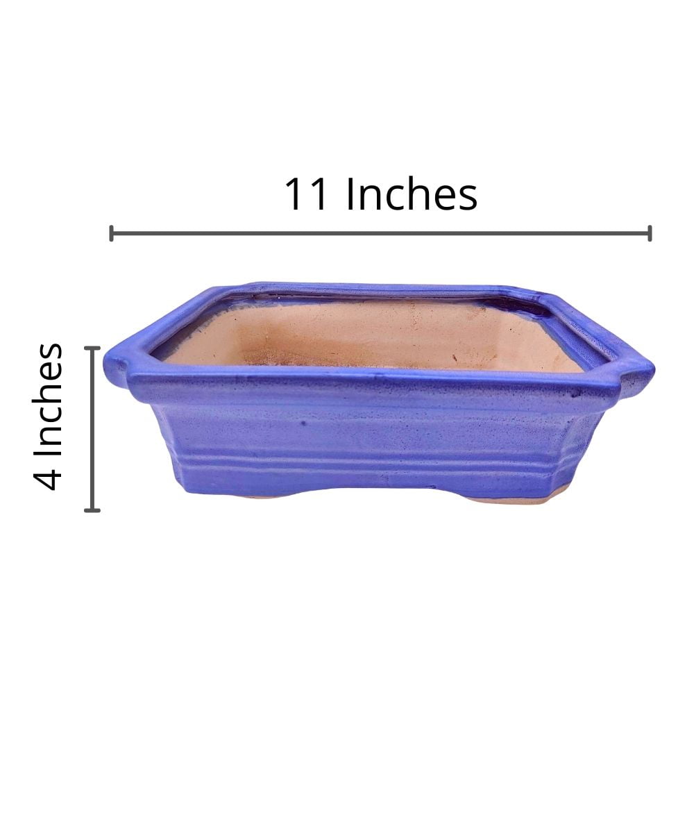Large Rectangular Sky Blue Bonsai Pot | 27 cm / 11 Inch Ceramic Planter