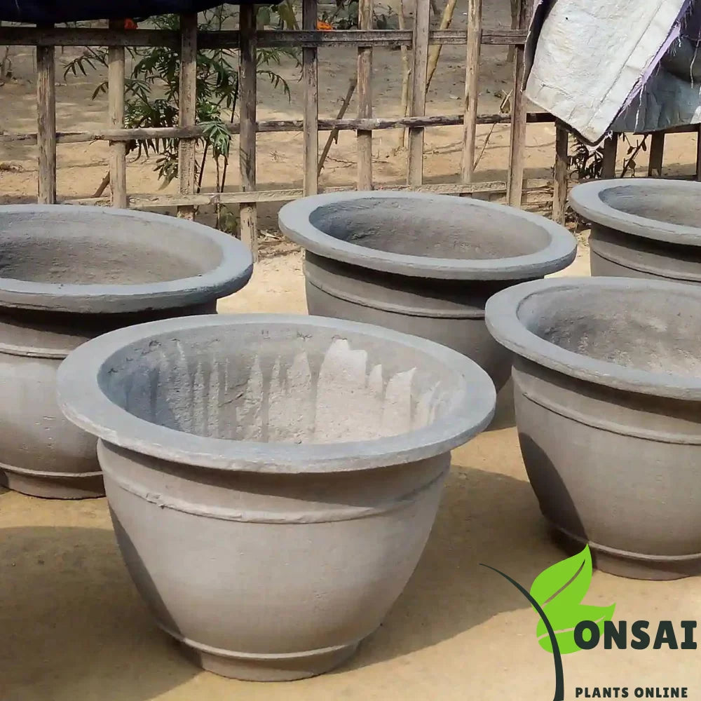 Concrete Bonsai Pot | Durable Round Planter for Outdoor Plants