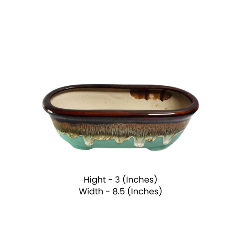 Flue Glaze Ceramic Bonsai Pot | 8.5 Inch Decorative Planter