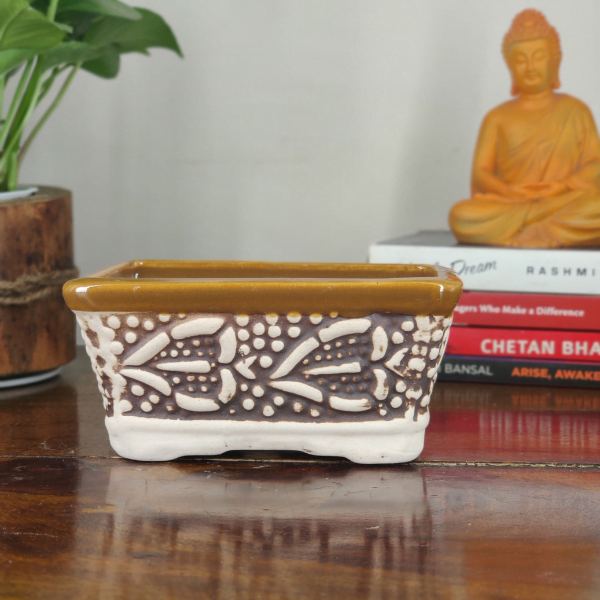 Rectangular Ceramic Bonsai Pot | 15 cm / 6 Inch Indoor Planter