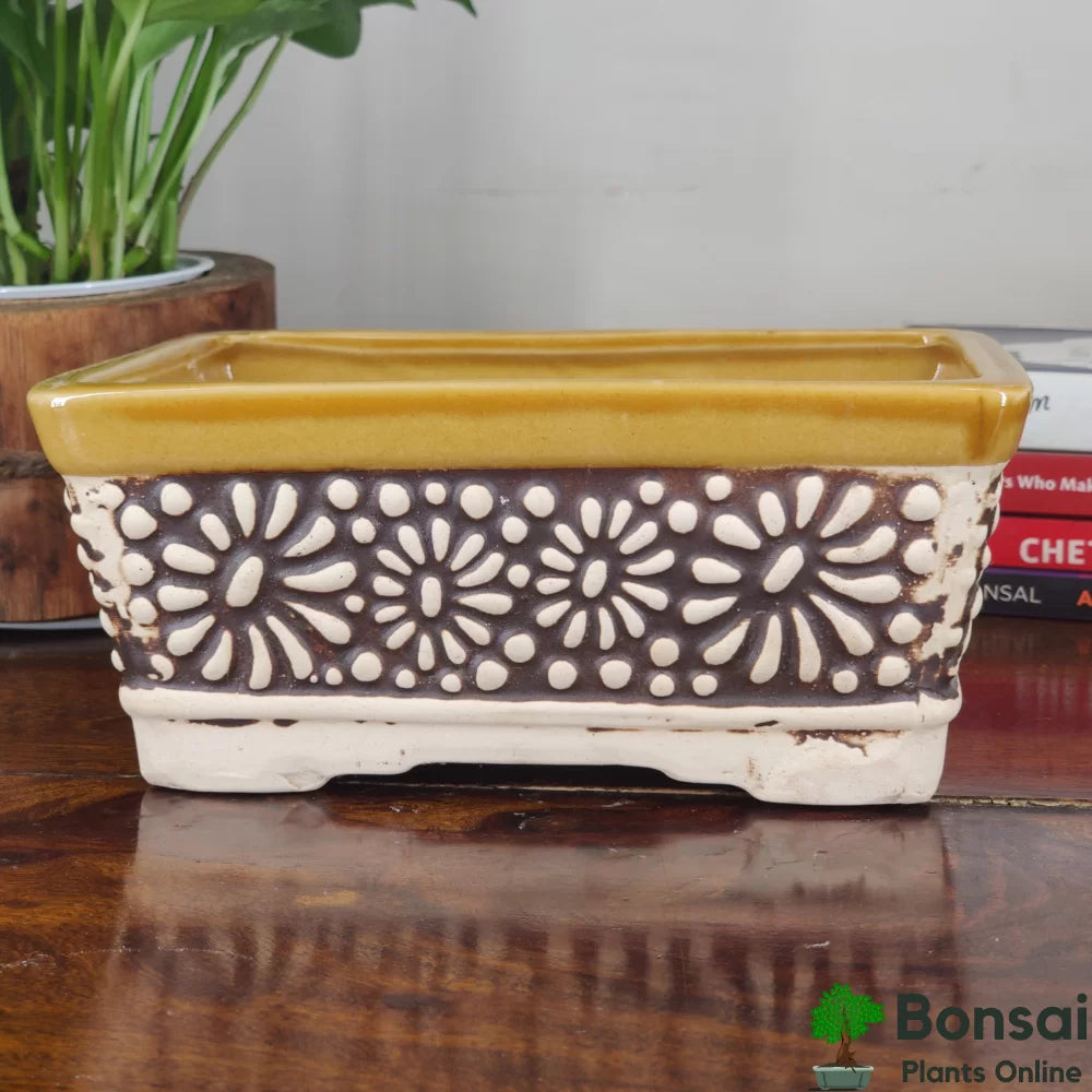 Ceramic Bonsai Pot | 15 cm / 6 Inch Medium Size