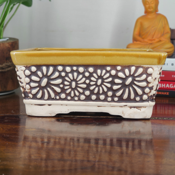 Carved Ceramic Bonsai Pot | 22 cm Decorative Planter