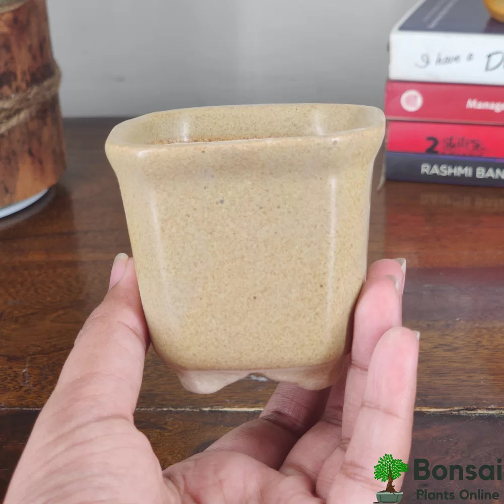 Square Ceramic Bonsai Pot | Medium Size Planter