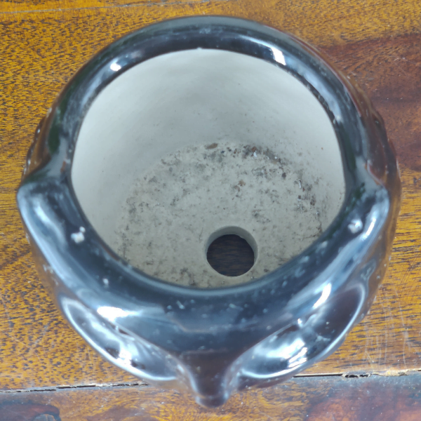 Owl-Shaped Ceramic Bonsai Pot | 9 cm / 3.5 Inch Decorative Planter