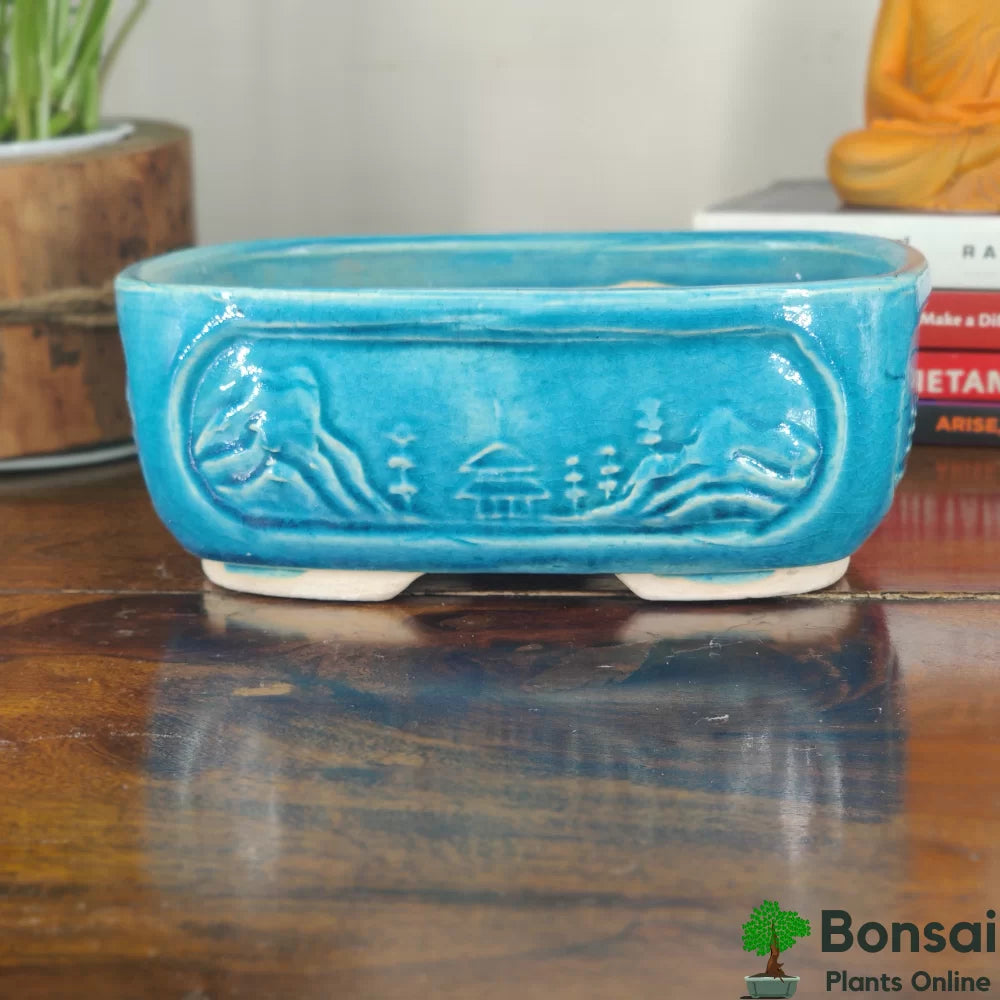 Royal Ceramic Bonsai Pot | 20 cm / 8 Inch Large Planter