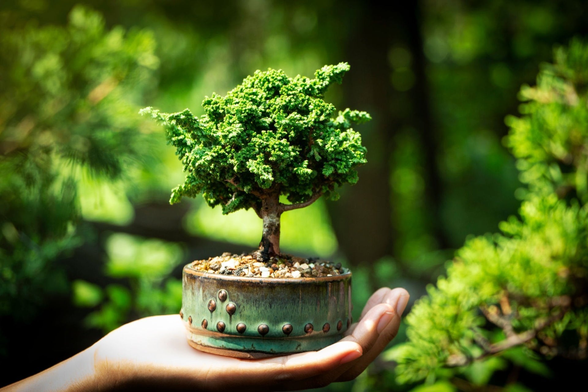 peach bonsai Gorgeous Artificial Mini Peach Bonsai — The Perfect Gift for Home or O main image 1