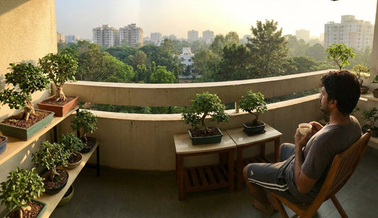 Best Bonsai for Bangalore Apartment Balconies (Survives All Seasons)