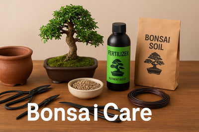Bonsai Care Essentials