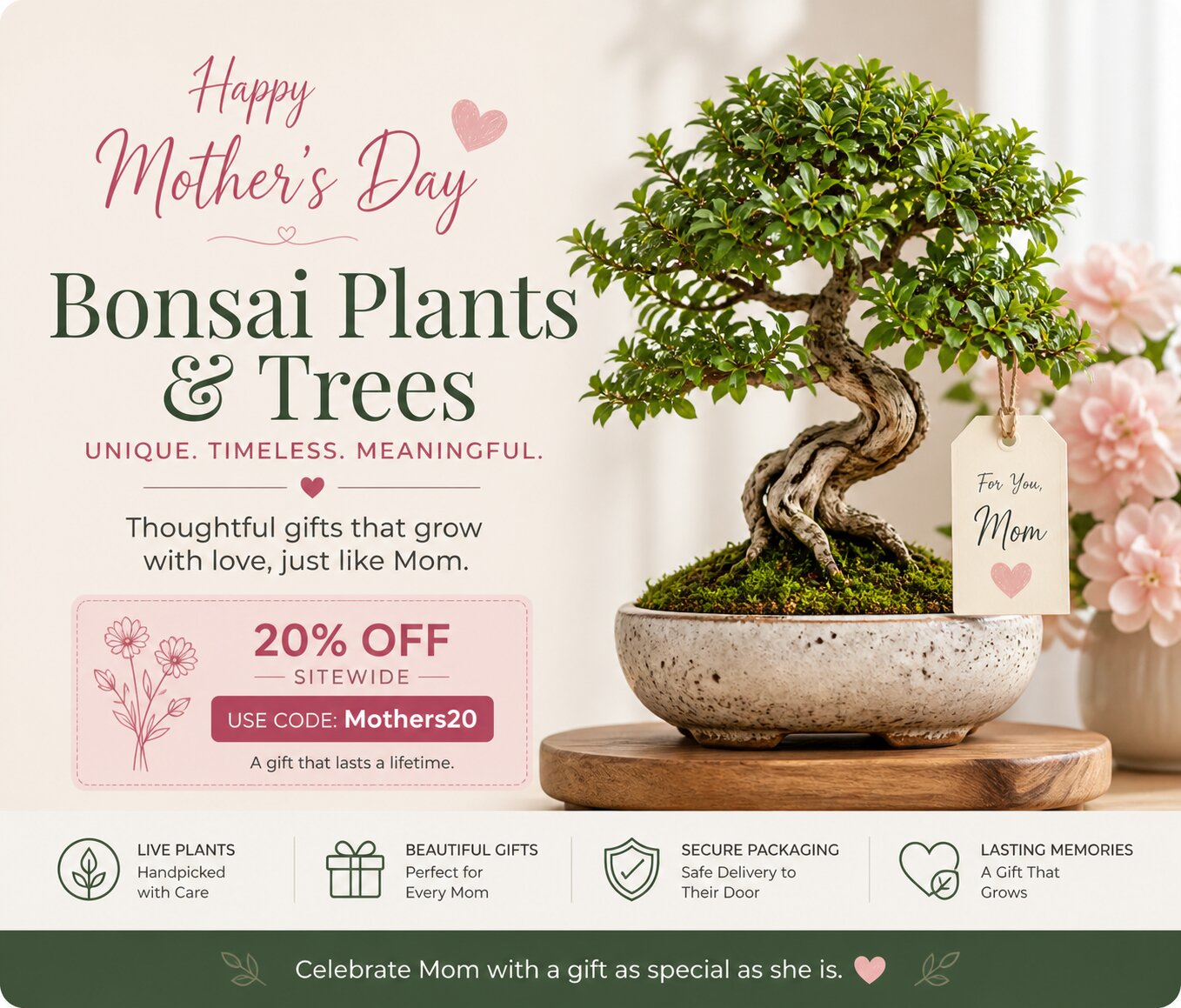 Mothers Day Gift | Bonsai Plants & Trees | Unique Timeless Gifts
