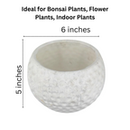 Football Style Ceramic Bonsai Pot | 15 cm / 6 Inch Unique Planter