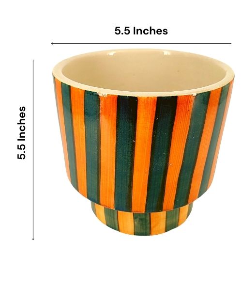 Zebra Classic Ceramic Pot with Tray | Black & White Patterned Planter
