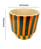 Zebra Classic Ceramic Pot with Tray | Black & White Patterned Planter