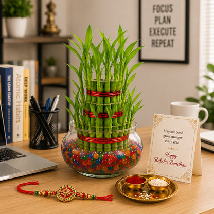 3 Layer Lucky Bamboo with Rakhi – Rakhi Gift Hamper