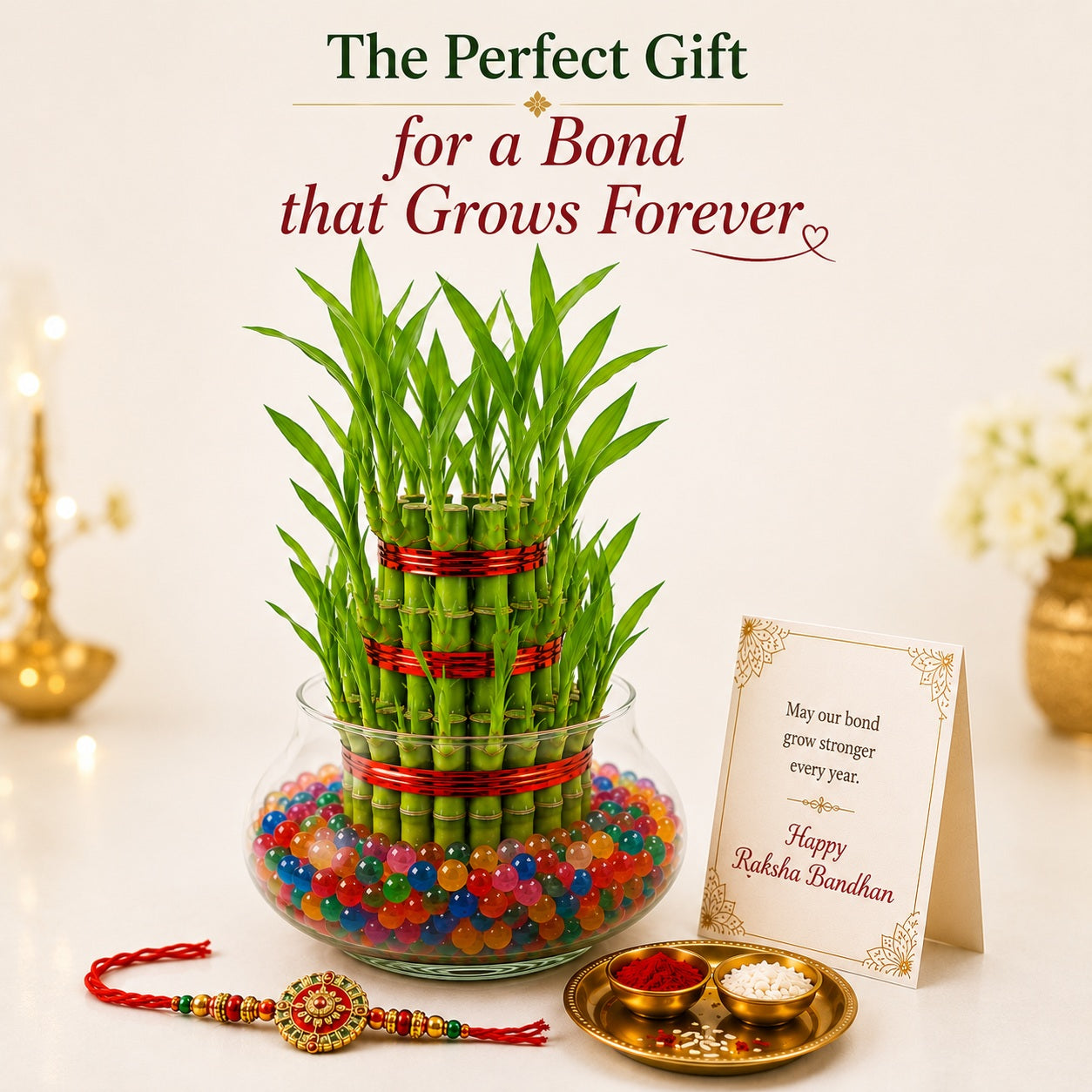 3 Layer Lucky Bamboo with Rakhi – Rakhi Gift Hamper