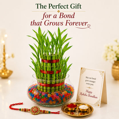 3 Layer Lucky Bamboo with Rakhi – Rakhi Gift Hamper
