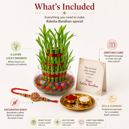 3 Layer Lucky Bamboo with Rakhi – Rakhi Gift Hamper