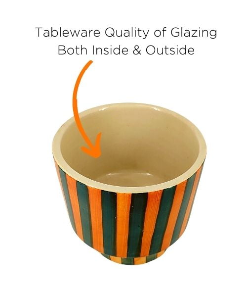 Zebra Classic Ceramic Pot with Tray | Black & White Patterned Planter