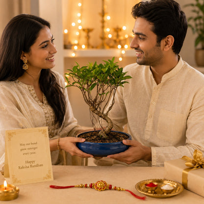 4 Year Ficus Banyan Bonsai Rakhi Hamper