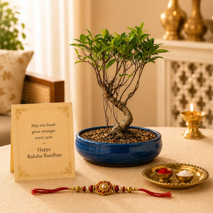 4 Year Ficus Banyan Bonsai Rakhi Hamper