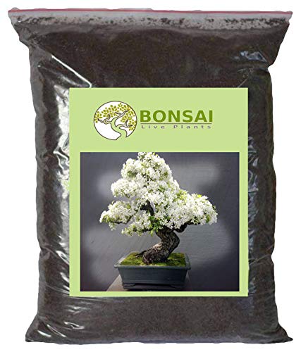 Bonsai Soil Organic Potting Soil 1 Kg