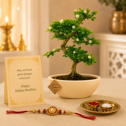 5 Year Carmona Flowering Bonsai Rakhi Hamper