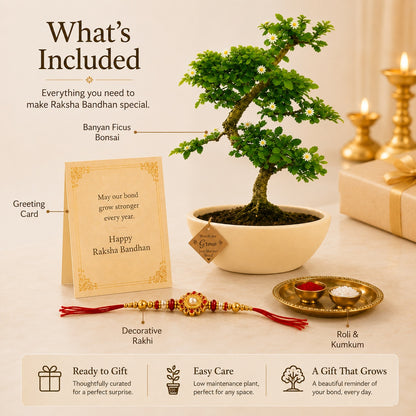 5 Year Carmona Flowering Bonsai Rakhi Hamper