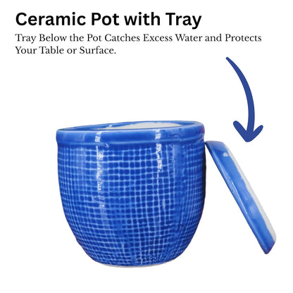 Round Ceramic Pot with Tray | 4 Inch Small Planter