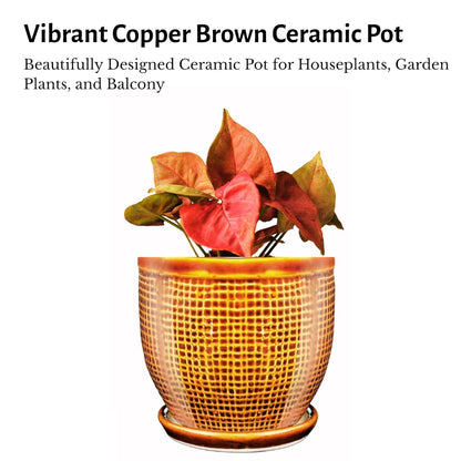 Round Ceramic Pot with Tray | 4 Inch Small Planter