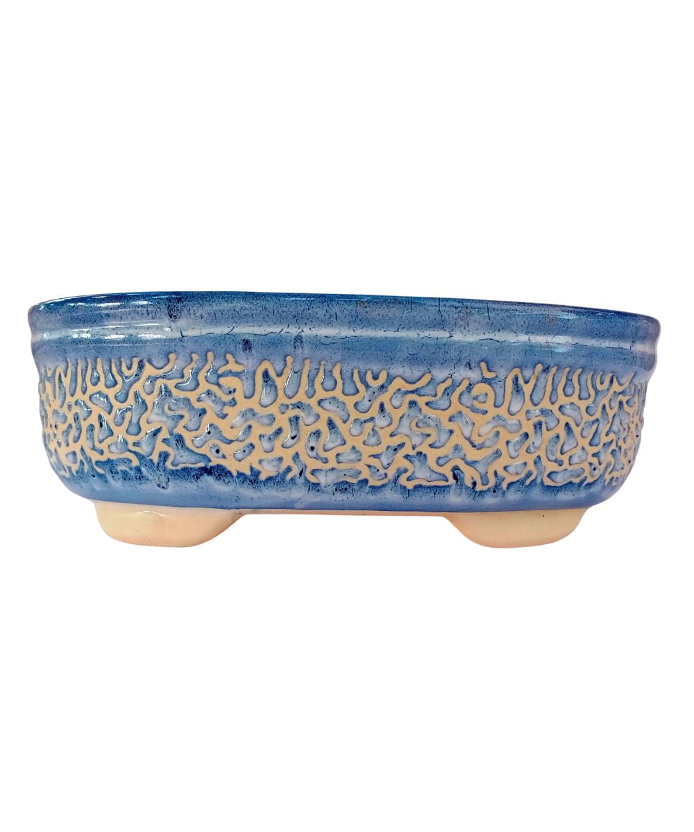 Big Bonsai Pot Blue Carved Oval 27cm