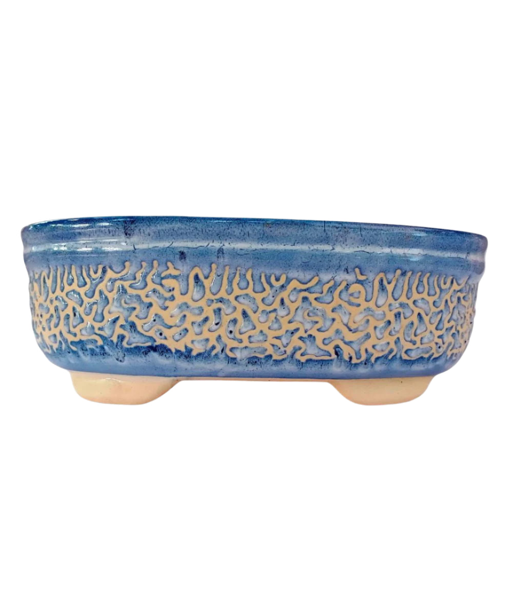 Large Blue Carved Oval Bonsai Pot | 27 cm Ceramic Planter
