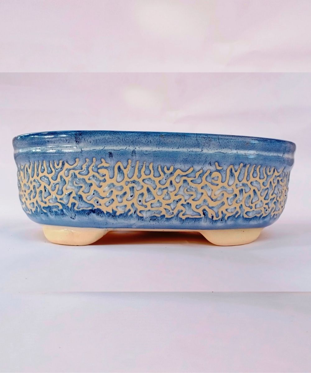 Big Bonsai Pot Blue Carved Oval 27cm