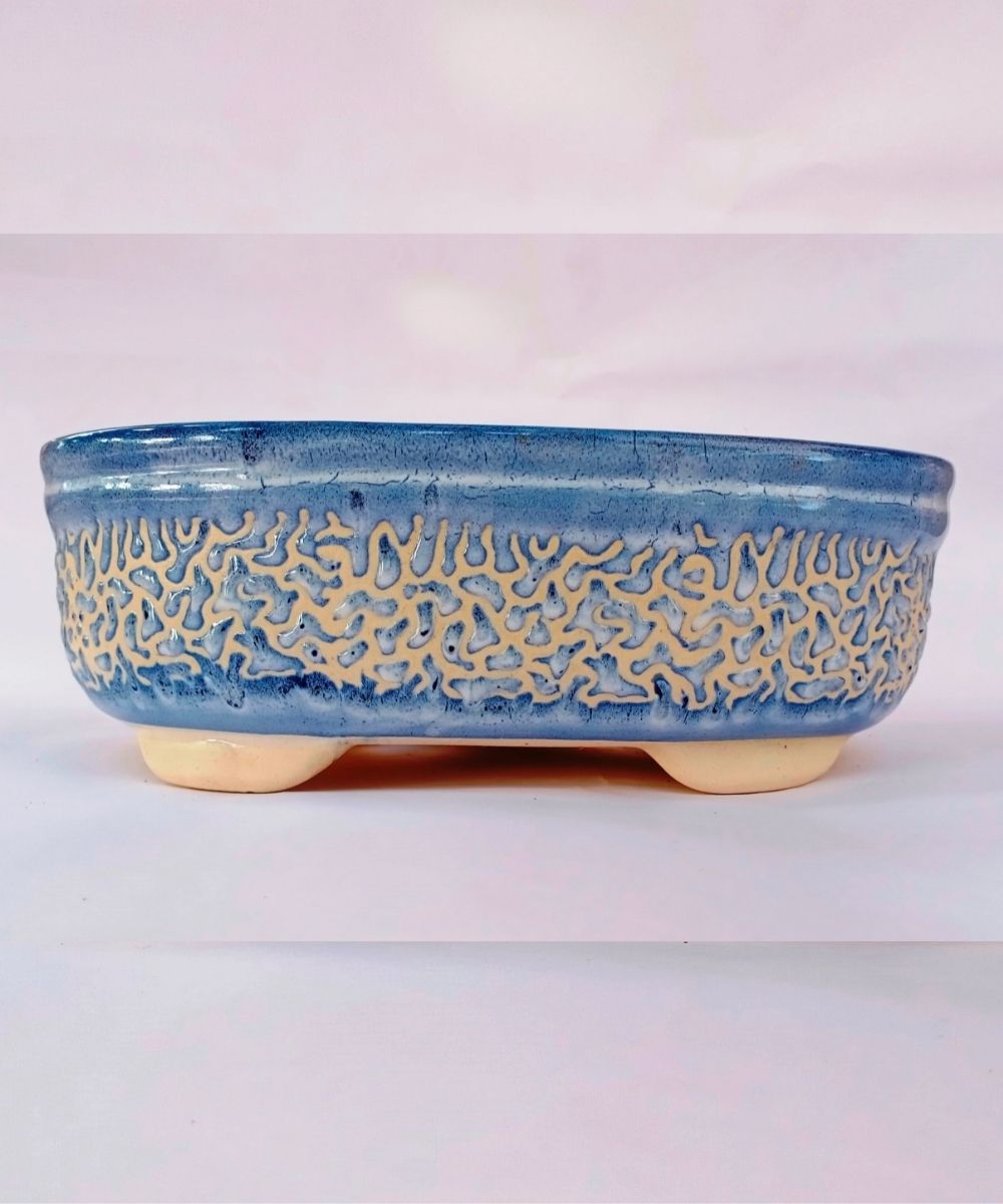 Large Blue Carved Oval Bonsai Pot | 27 cm Ceramic Planter