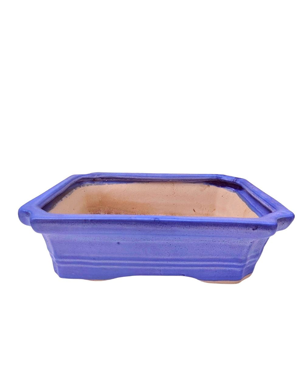 Large Rectangular Sky Blue Bonsai Pot | 27 cm / 11 Inch Ceramic Planter