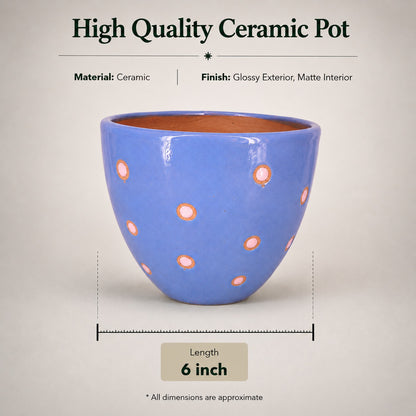 Blue Dotted Ceramic Pot | 6 Inch Indoor Plant Pot