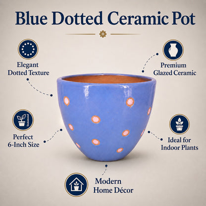 Blue Dotted Ceramic Pot | 6 Inch Indoor Plant Pot
