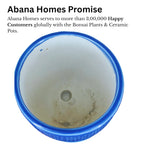 Round Ceramic Pot with Tray | 4 Inch Small Planter