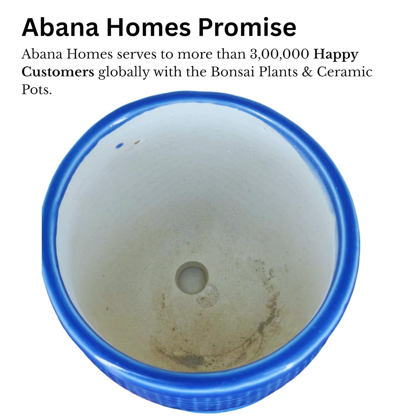 Round Ceramic Pot with Tray | 4 Inch Small Planter