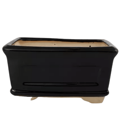 Rectangle Bonsai Pot Black 20 cm Inches