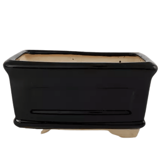 Rectangle Bonsai Pot Black 20 cm Inches