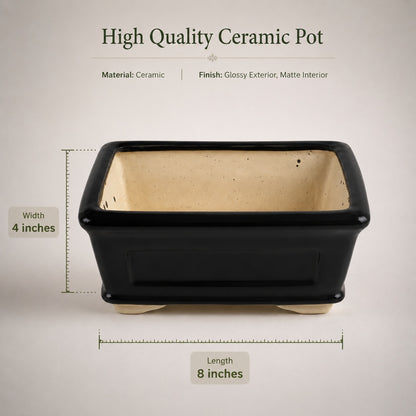 Ceramic Bonsai Planter Rectangular 8x4 inches.
