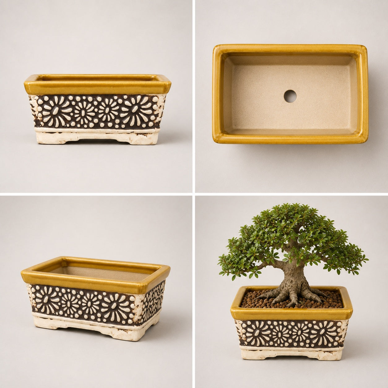 Carved Ceramic Bonsai Pot | 22 cm Decorative Planter