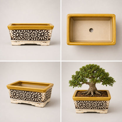 Carved Ceramic Bonsai Pot | 22 cm Decorative Planter