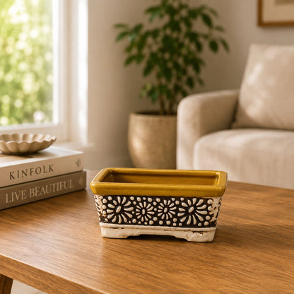 Carved Ceramic Bonsai Pot | 22 cm Decorative Planter