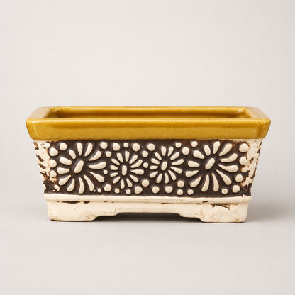 Carved Ceramic Bonsai Pot | 22 cm Decorative Planter